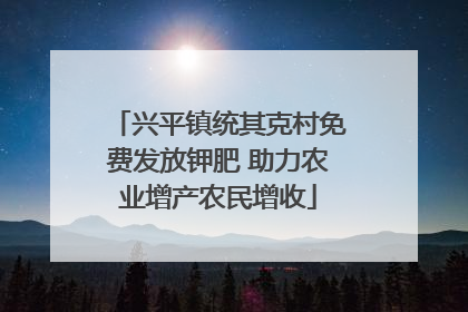 兴平镇统其克村免费发放钾肥 助力农业增产农民增收
