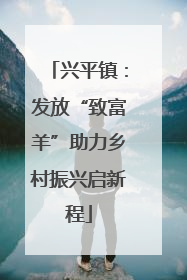 兴平镇：发放“致富羊”助力乡村振兴启新程