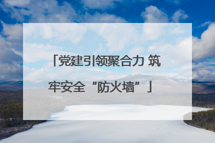 党建引领聚合力 筑牢安全“防火墙”