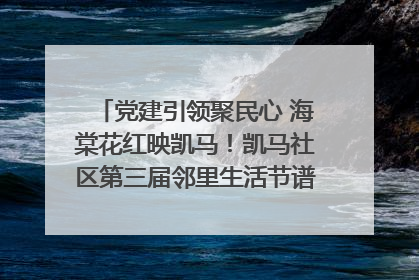 党建引领聚民心 海棠花红映凯马！凯马社区第三届邻里生活节谱写幸福新篇章
