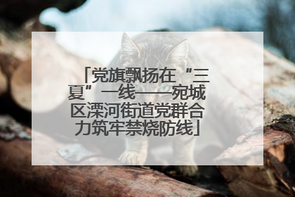 党旗飘扬在“三夏”一线——宛城区溧河街道党群合力筑牢禁烧防线