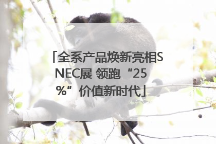 全系产品焕新亮相SNEC展 领跑“25%”价值新时代