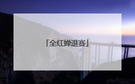 全红婵退赛