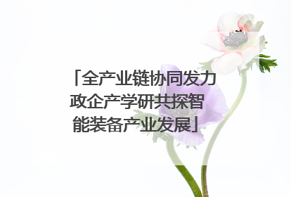 全产业链协同发力 政企产学研共探智能装备产业发展