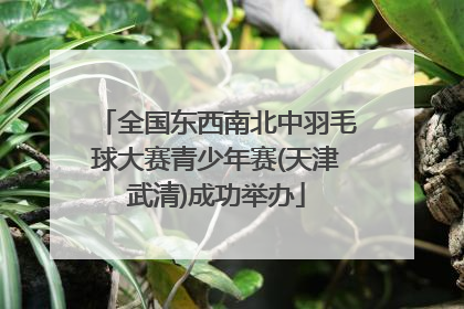 全国东西南北中羽毛球大赛青少年赛(天津武清)成功举办