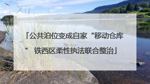 公共泊位变成自家“移动仓库” 铁西区柔性执法联合整治