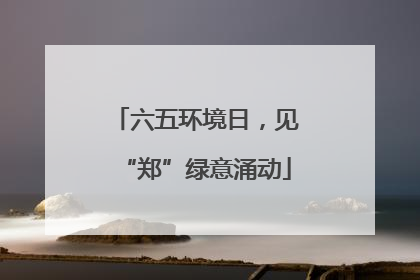 六五环境日，见“郑”绿意涌动