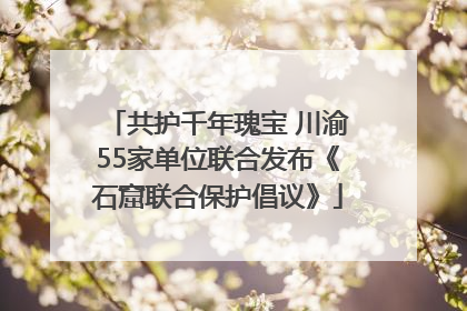 共护千年瑰宝 川渝55家单位联合发布《石窟联合保护倡议》