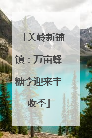 关岭新铺镇：万亩蜂糖李迎来丰收季