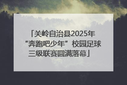 关岭自治县2025年“奔跑吧少年”校园足球三级联赛圆满落幕
