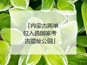 内蒙古两单位入选国家考古遗址公园
