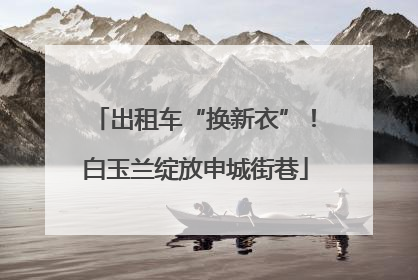 出租车“换新衣”！白玉兰绽放申城街巷