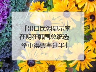 出口民调显示李在明在韩国总统选举中得票率过半
