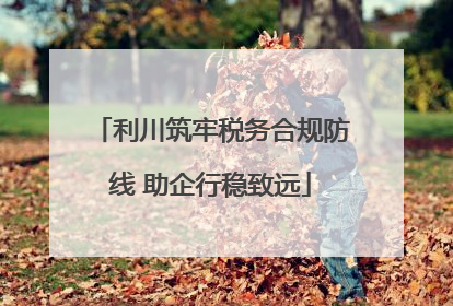 利川筑牢税务合规防线 助企行稳致远