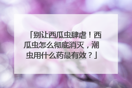 别让西瓜虫肆虐！西瓜虫怎么彻底消灭，潮虫用什么药最有效？