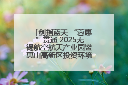 剑指蓝天 “蓉惠”贯通 2025无锡航空航天产业园暨惠山高新区投资环境推介会在成都举行