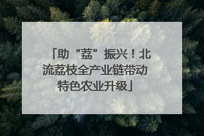 助“荔”振兴！北流荔枝全产业链带动特色农业升级