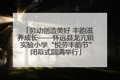 劳动创造美好 丰韵滋养成长——怀远县龙亢镇实验小学“悦劳丰韵节”闭幕式圆满举行