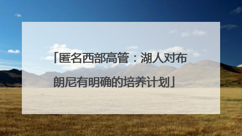 匿名西部高管：湖人对布朗尼有明确的培养计划