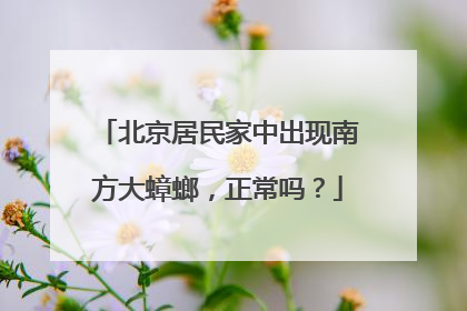 北京居民家中出现南方大蟑螂，正常吗？