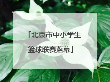 北京市中小学生篮球联赛落幕