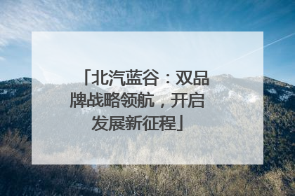 北汽蓝谷：双品牌战略领航，开启发展新征程