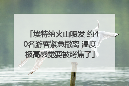 埃特纳火山喷发 约40名游客紧急撤离 温度极高感觉要被烤焦了