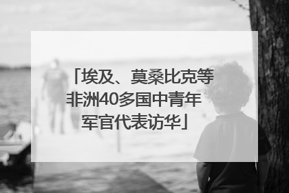 埃及、莫桑比克等非洲40多国中青年军官代表访华