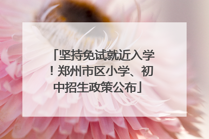 坚持免试就近入学！郑州市区小学、初中招生政策公布