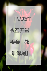 吴忠连夜召开常委会：教训深刻