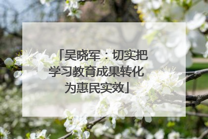 吴晓军：切实把学习教育成果转化为惠民实效