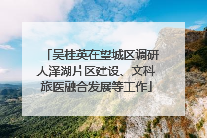 吴桂英在望城区调研大泽湖片区建设、文科旅医融合发展等工作