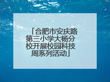 合肥市安庆路第三小学大杨分校开展校园科技周系列活动