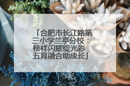 合肥市长江路第三小学兰亭分校：榜样闪耀绽光彩 五育融合助成长