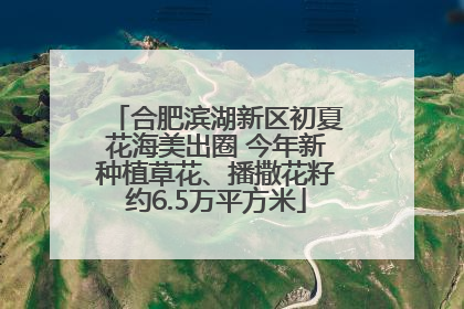合肥滨湖新区初夏花海美出圈 今年新种植草花、播撒花籽约6.5万平方米