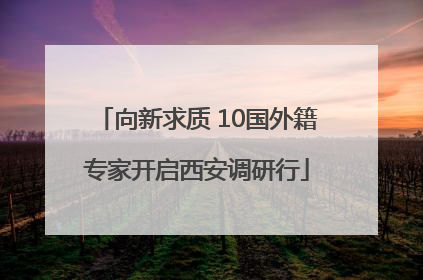 向新求质 10国外籍专家开启西安调研行
