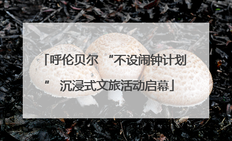呼伦贝尔 “不设闹钟计划” 沉浸式文旅活动启幕