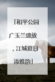 和平公园广玉兰盛放，江城夏日添雅韵