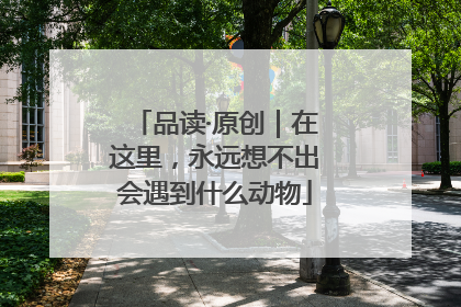 品读·原创｜在这里，永远想不出会遇到什么动物