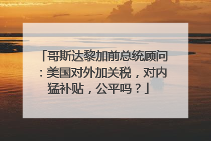 哥斯达黎加前总统顾问：美国对外加关税，对内猛补贴，公平吗？