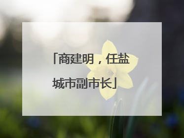 商建明，任盐城市副市长