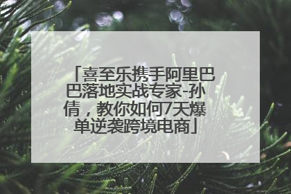 喜至乐携手阿里巴巴落地实战专家-孙倩，教你如何7天爆单逆袭跨境电商