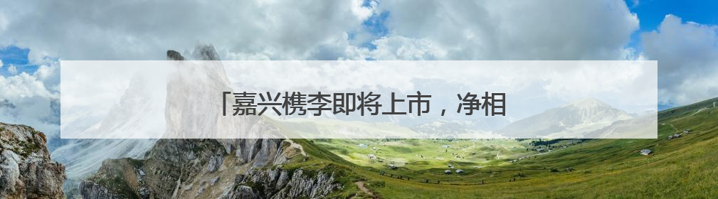 嘉兴槜李即将上市，净相村开共富工坊做槜李文创