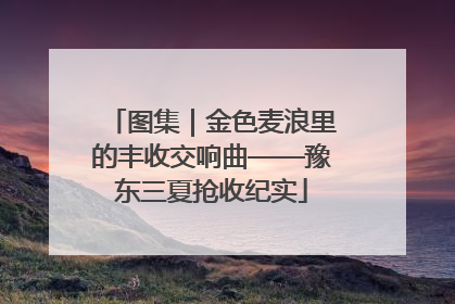 图集｜金色麦浪里的丰收交响曲——豫东三夏抢收纪实