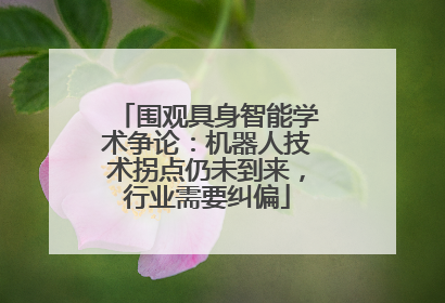 围观具身智能学术争论：机器人技术拐点仍未到来，行业需要纠偏