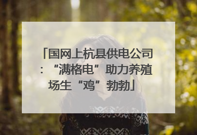 国网上杭县供电公司：“满格电”助力养殖场生“鸡”勃勃