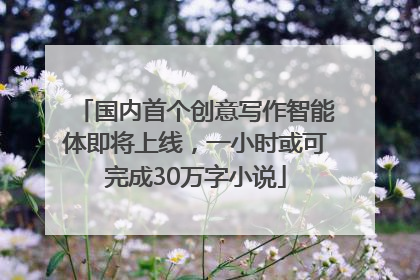 国内首个创意写作智能体即将上线，一小时或可完成30万字小说