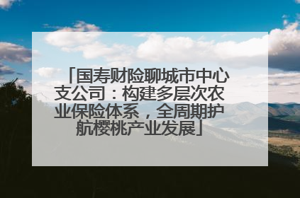 国寿财险聊城市中心支公司：构建多层次农业保险体系，全周期护航樱桃产业发展