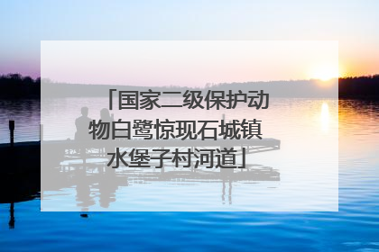 国家二级保护动物白鹭惊现石城镇水堡子村河道