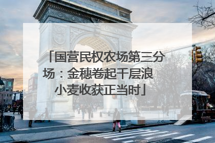 国营民权农场第三分场：金穗卷起千层浪 小麦收获正当时